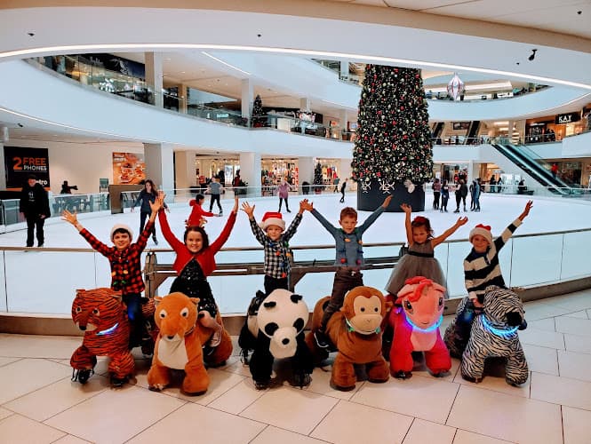 Animal Rides Happy Rides