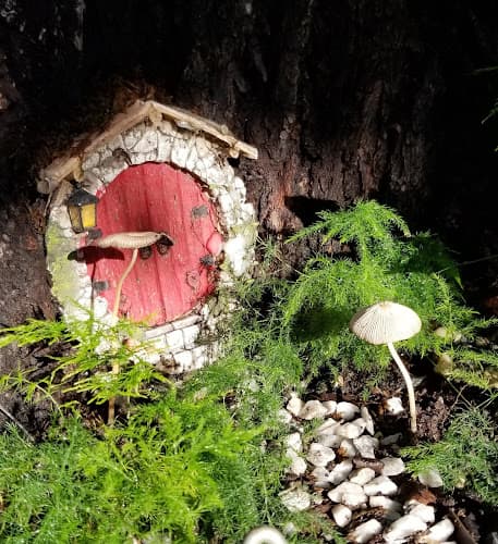 The Magic Tree Box — photo 1 of 1