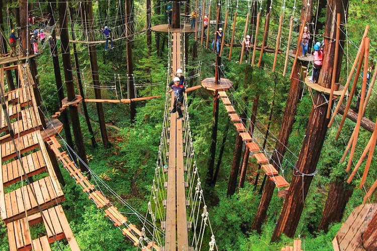 Rainy Day Activities for Families in Santa Cruz
