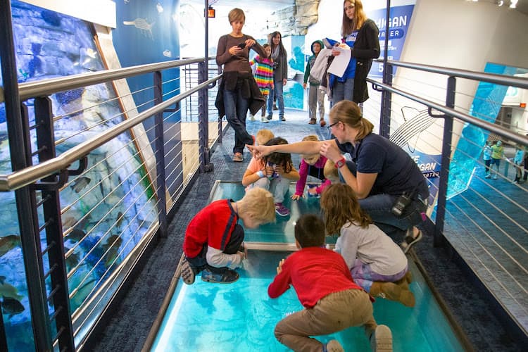 Discovery World's Reiman Aquarium — photo 1 of 1