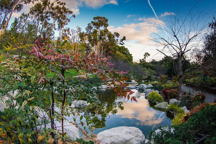 Best San Diego Activities for Toddlers (Ages 0–4)