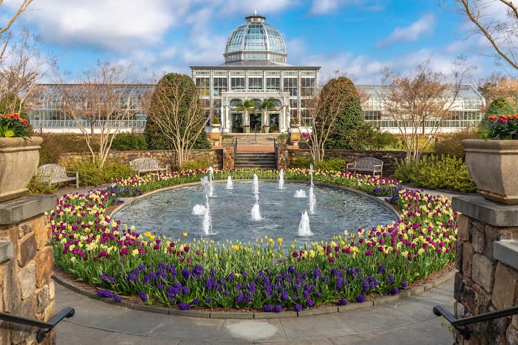 Lewis Ginter Botanical Garden — photo 1 of 1