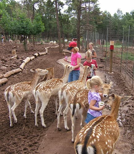 Grand Canyon Deer Farm — thumbnail 2