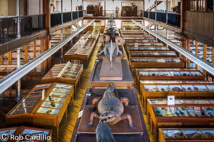 Wagner Free Institute of Science — photo 1 of 1