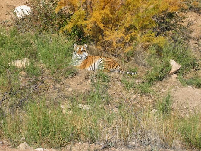 Keepers of the Wild Nature Park — photo 1 of 1