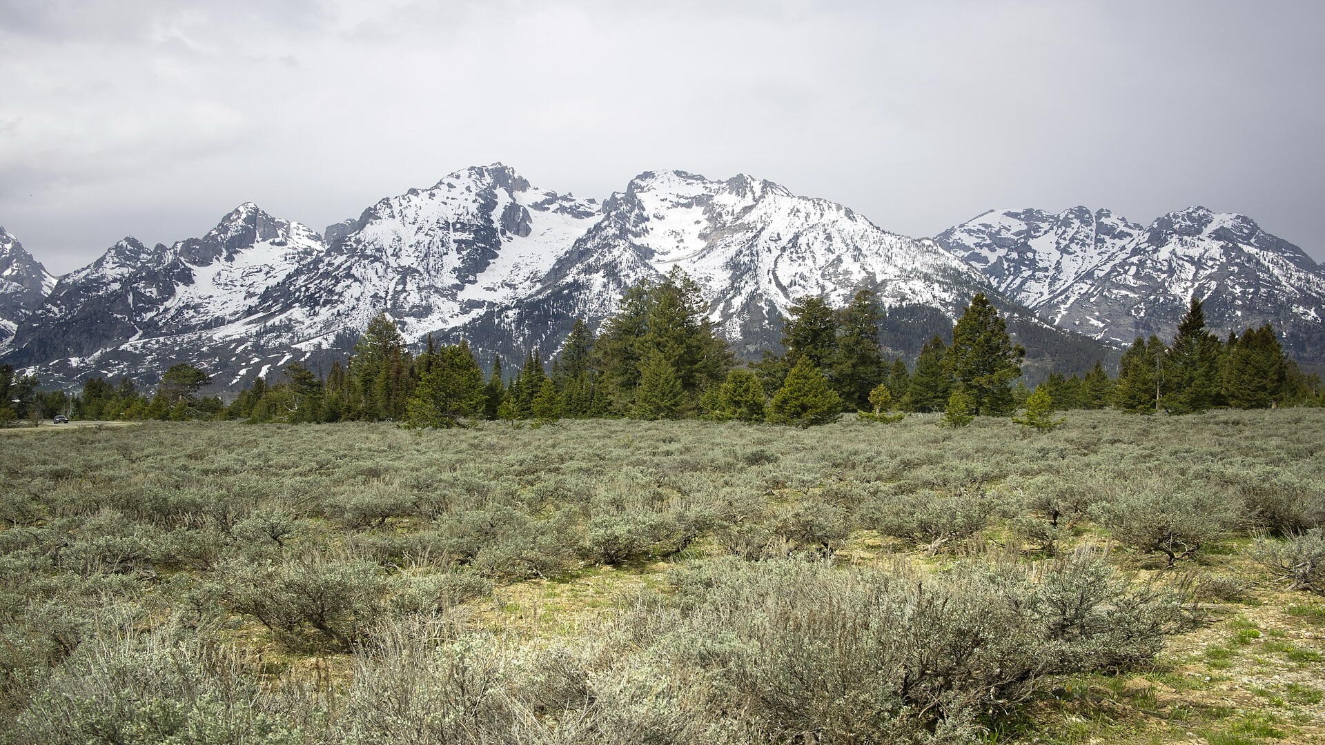 Jackson Hole
