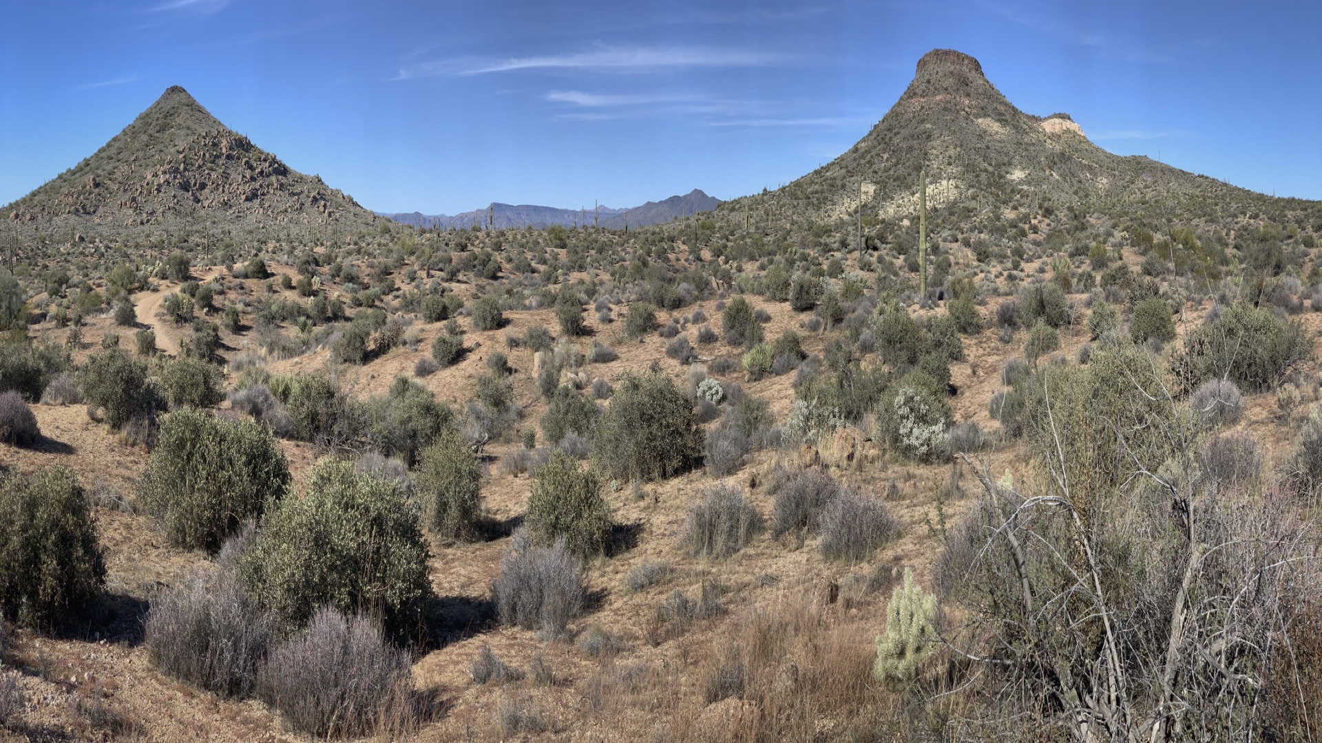 Scottsdale