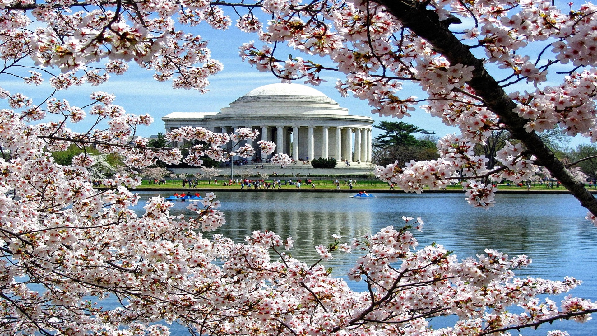 Washington DC