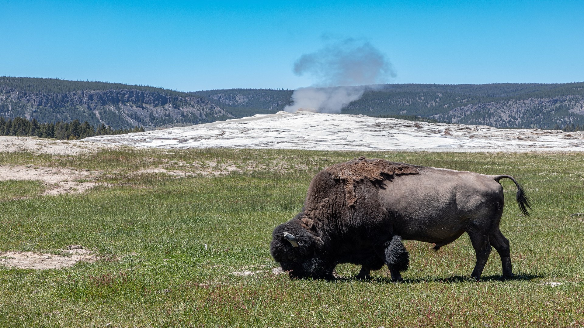 West Yellowstone