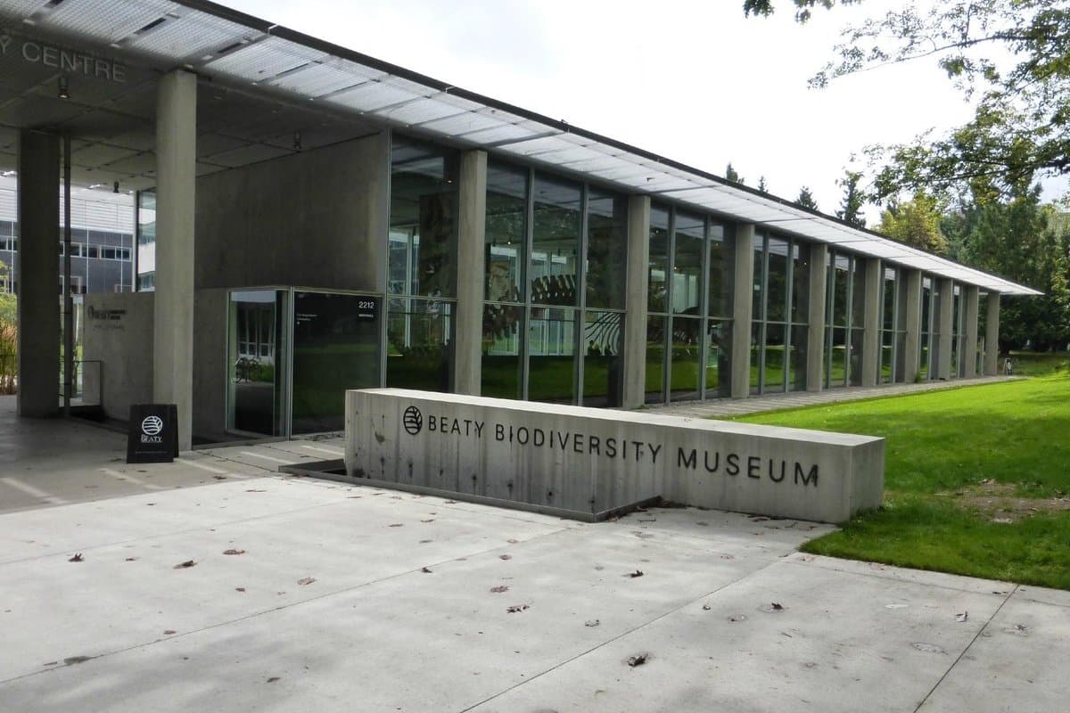 Beaty Biodiversity Museum
