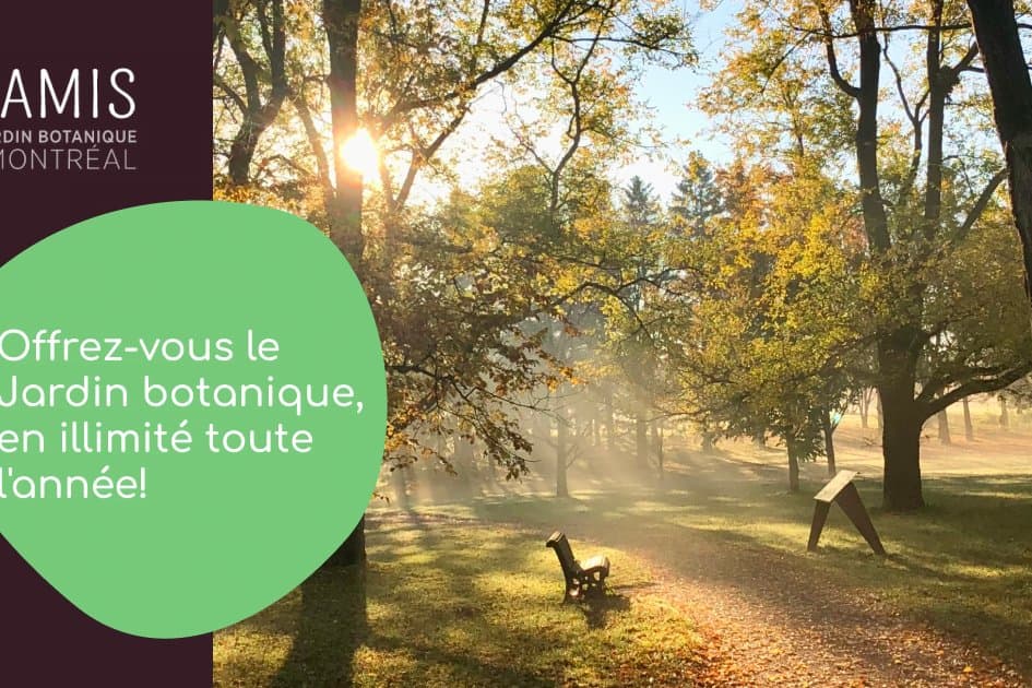 The Friends of the Botanical Garden of Montreal