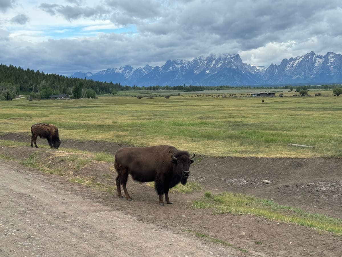 Jackson Hole Family Activity Cost Guide