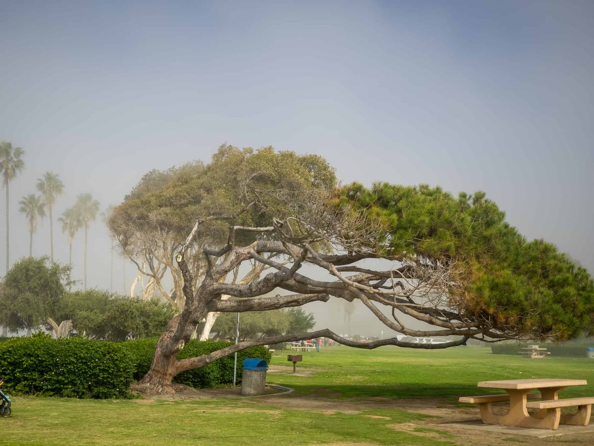 Kellogg Park