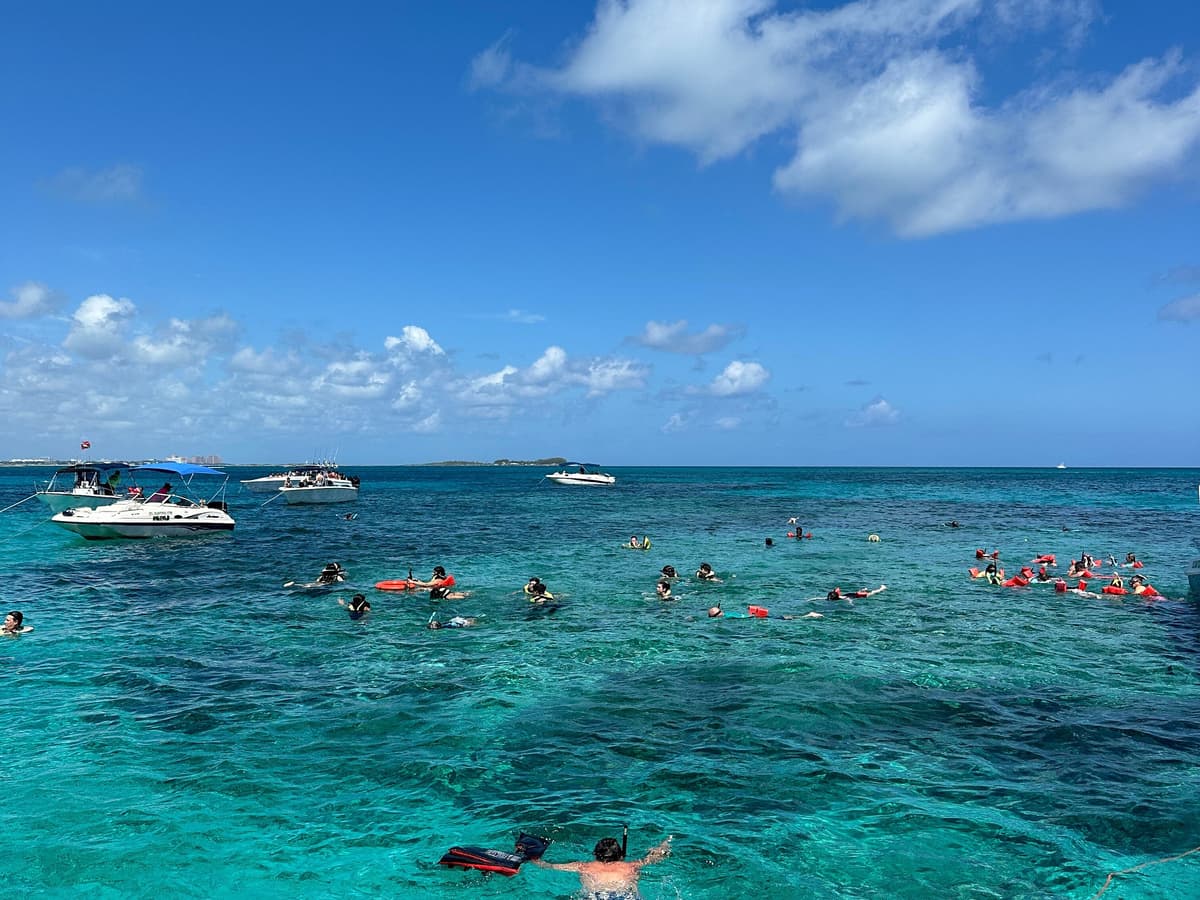 Wild Willy’s Water Sports & Tours
