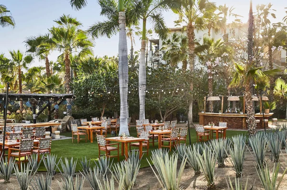 Restaurante Agave