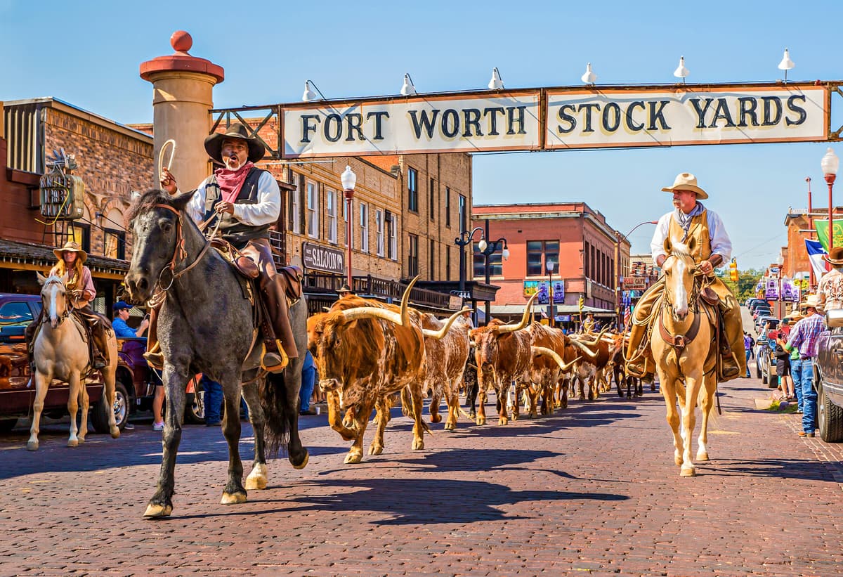 Indoor Activities for Kids in Dallas