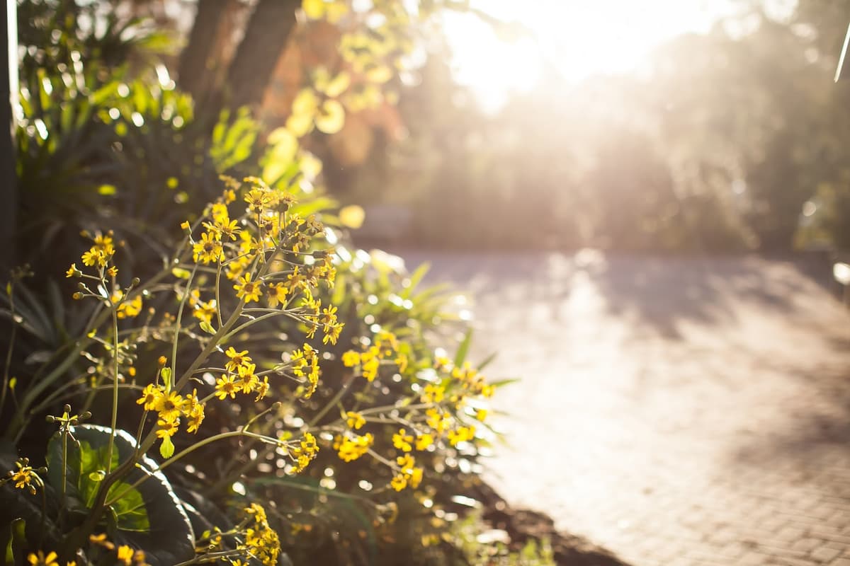 Mercer Botanic Gardens — photo 1 of 1