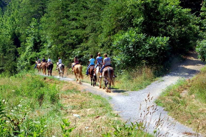 Smoky Mountain Deer Farm and Exotic Petting Zoo