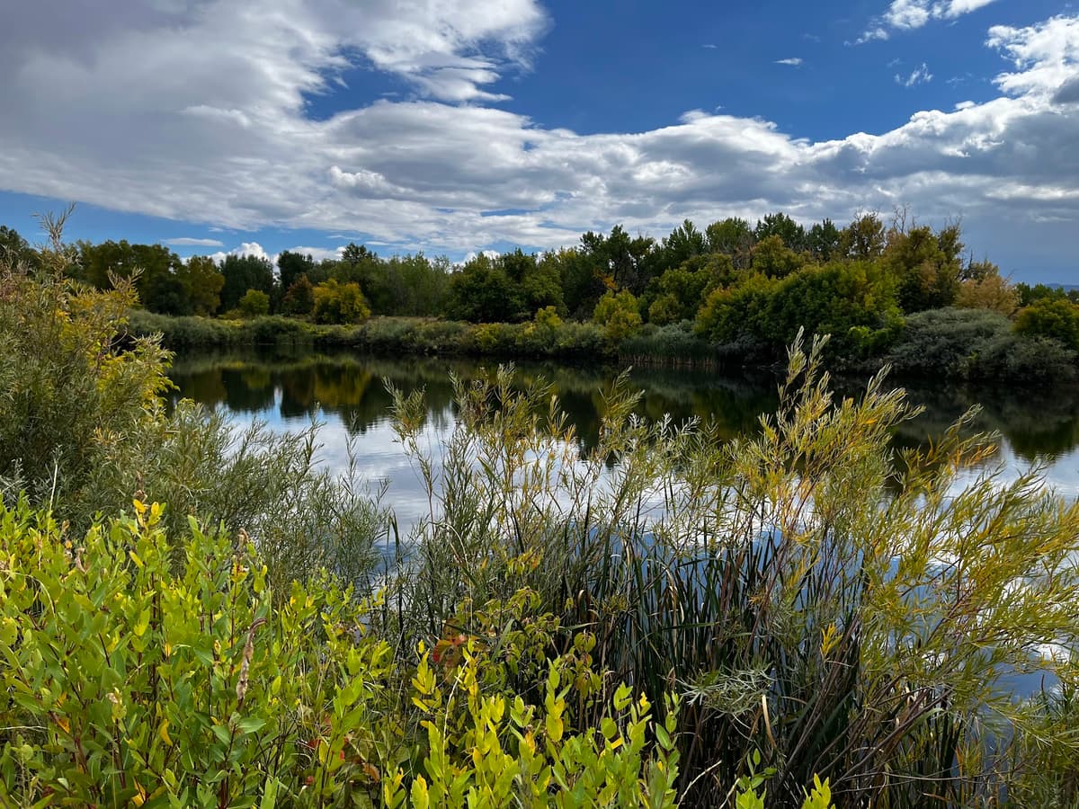 Denver Audubon Kingery Nature Center — photo 1 of 1