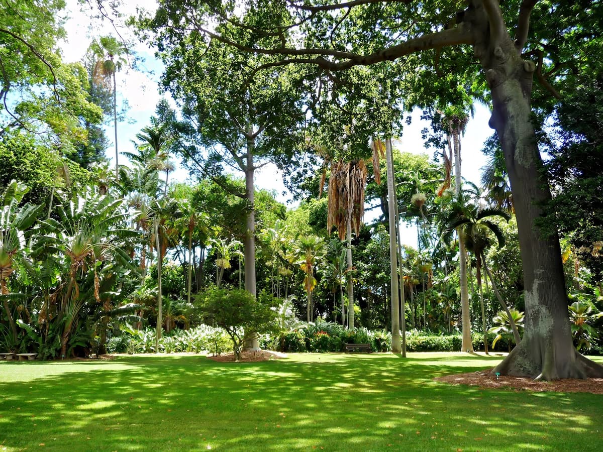 Foster Botanical Garden