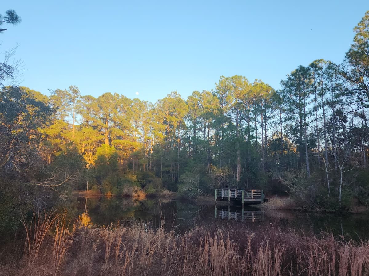 City Of Gulf Shores Wetlands Park — photo 1 of 1