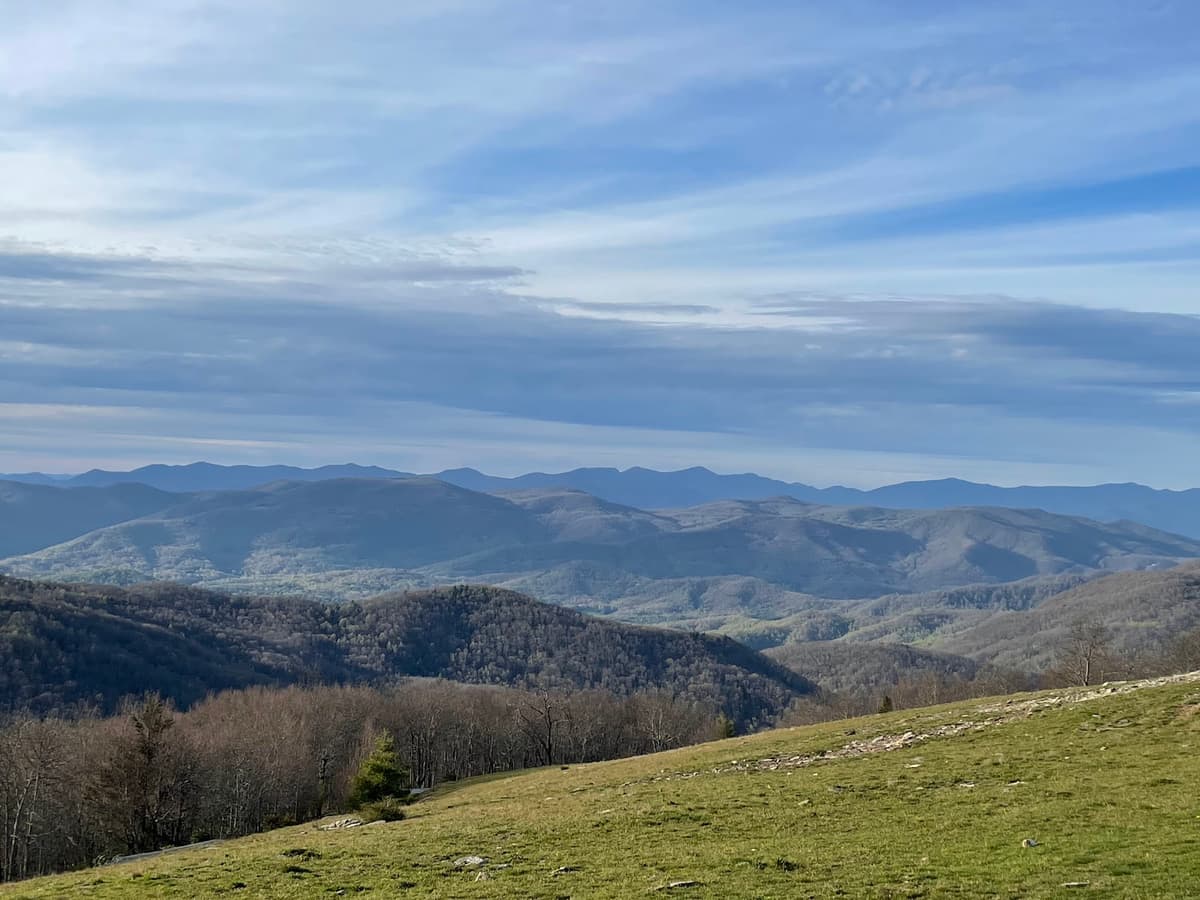 Bearwallow Mountain Trail — photo 1 of 1