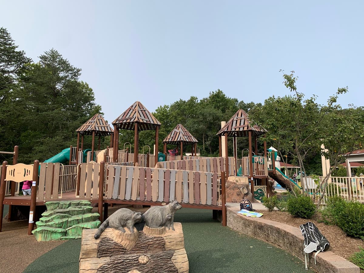 Chessie's Big Backyard — photo 1 of 1