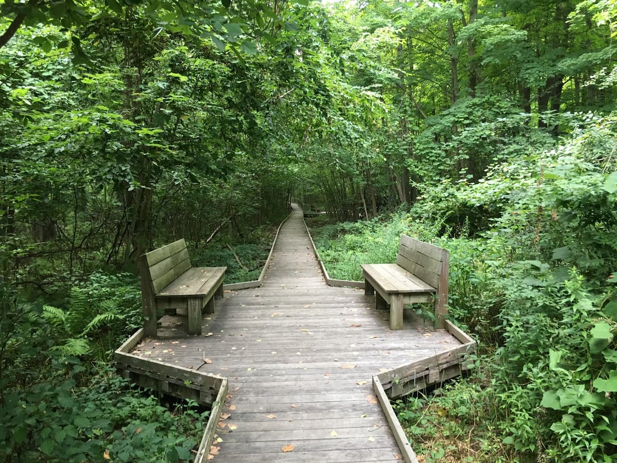 Mass Audubon's Broad Meadow Brook Conservation Center and Wildlife Sanctuary — photo 1 of 1