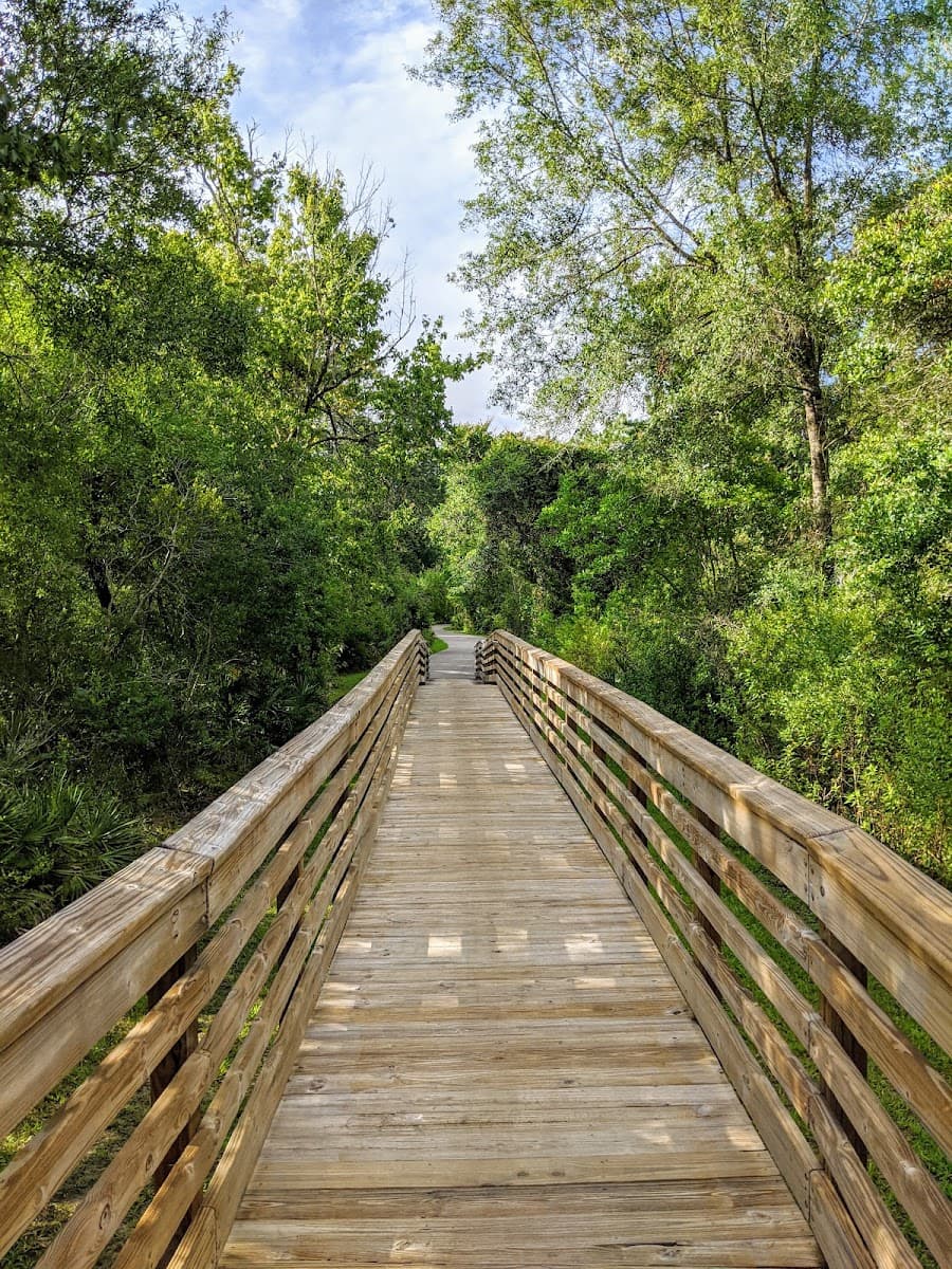 New Tampa Nature Park — photo 1 of 1