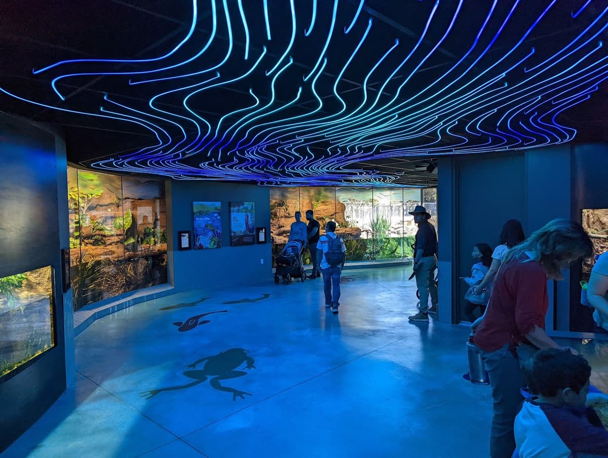 Wildlife Explorers Basecamp