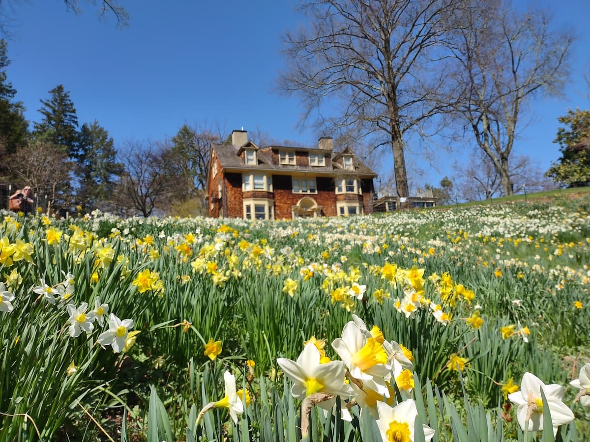 Reeves-Reed Arboretum — photo 1 of 1