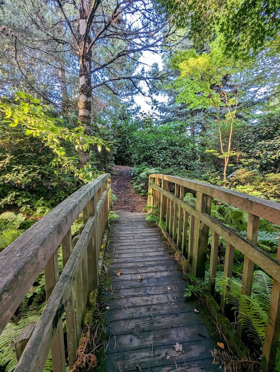 SSC Arboretum — photo 1 of 1