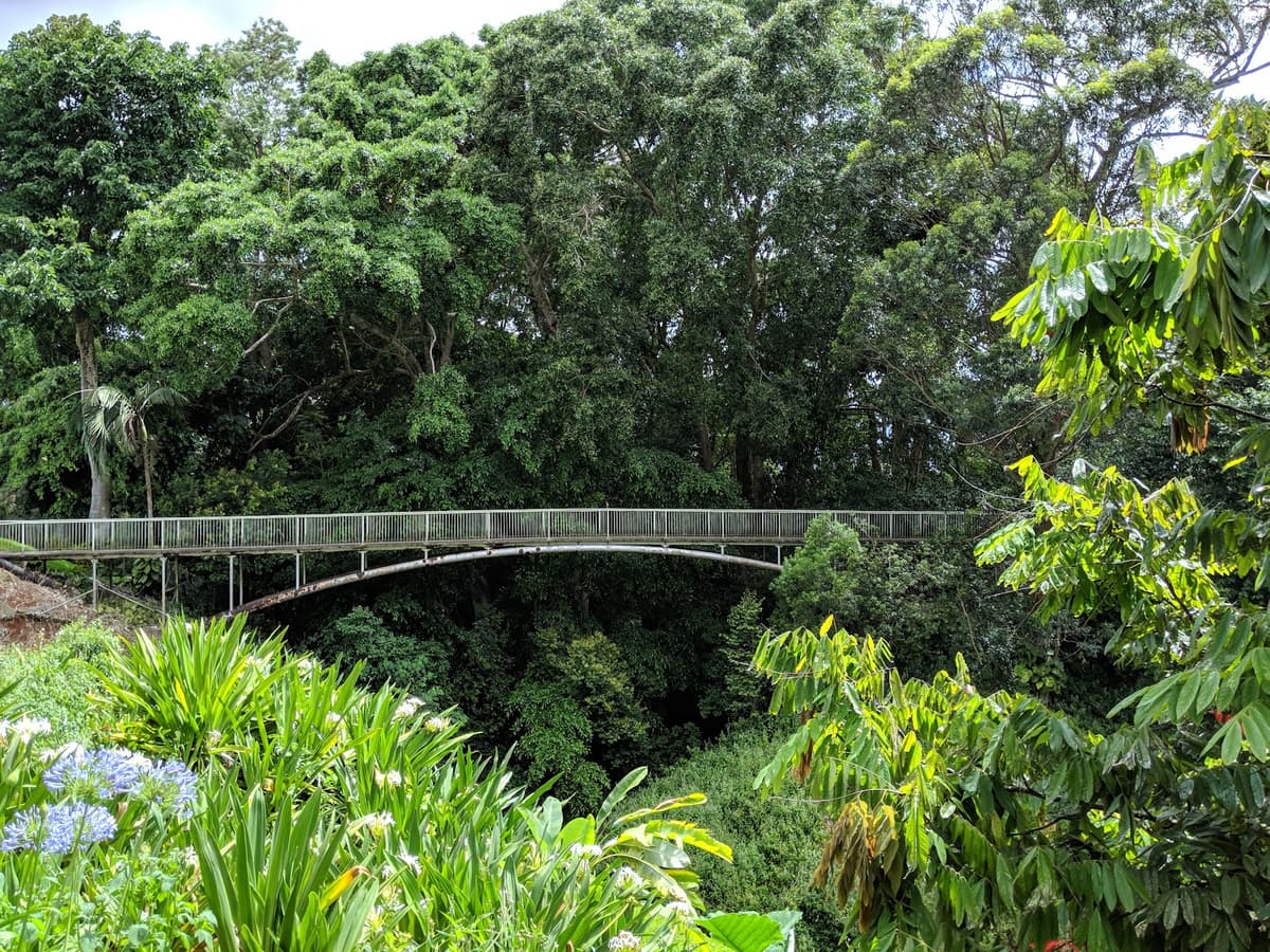 Wahiawā Botanical Garden — photo 1 of 1