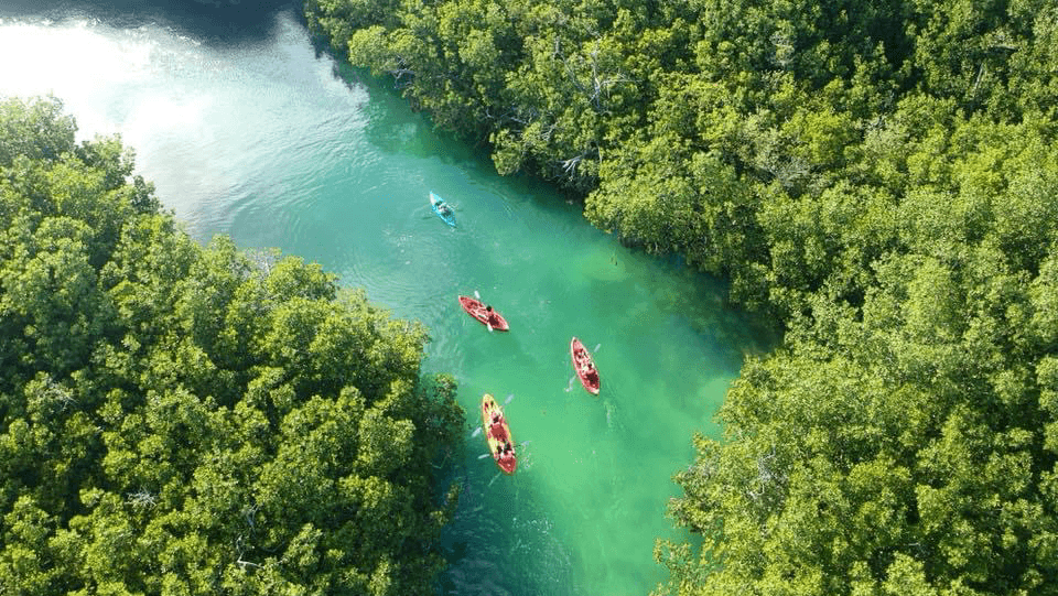 Conexion Nativa Cancun