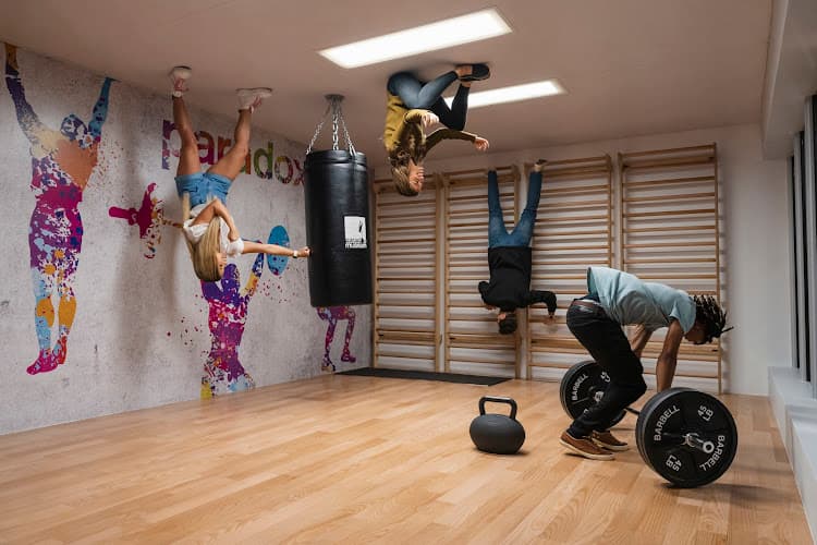 Paradox Museum Miami