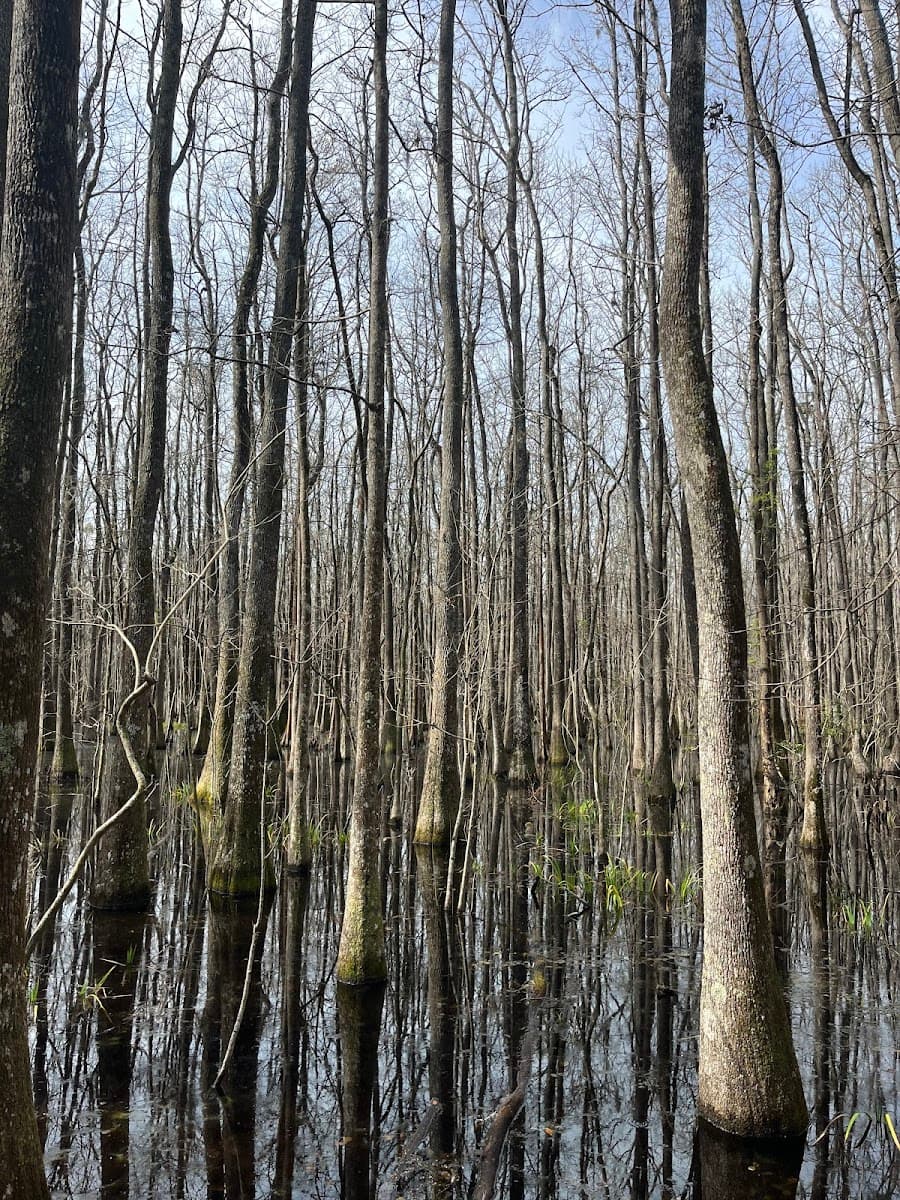 Savannah Coastal Refuges Visitor Center — photo 1 of 1