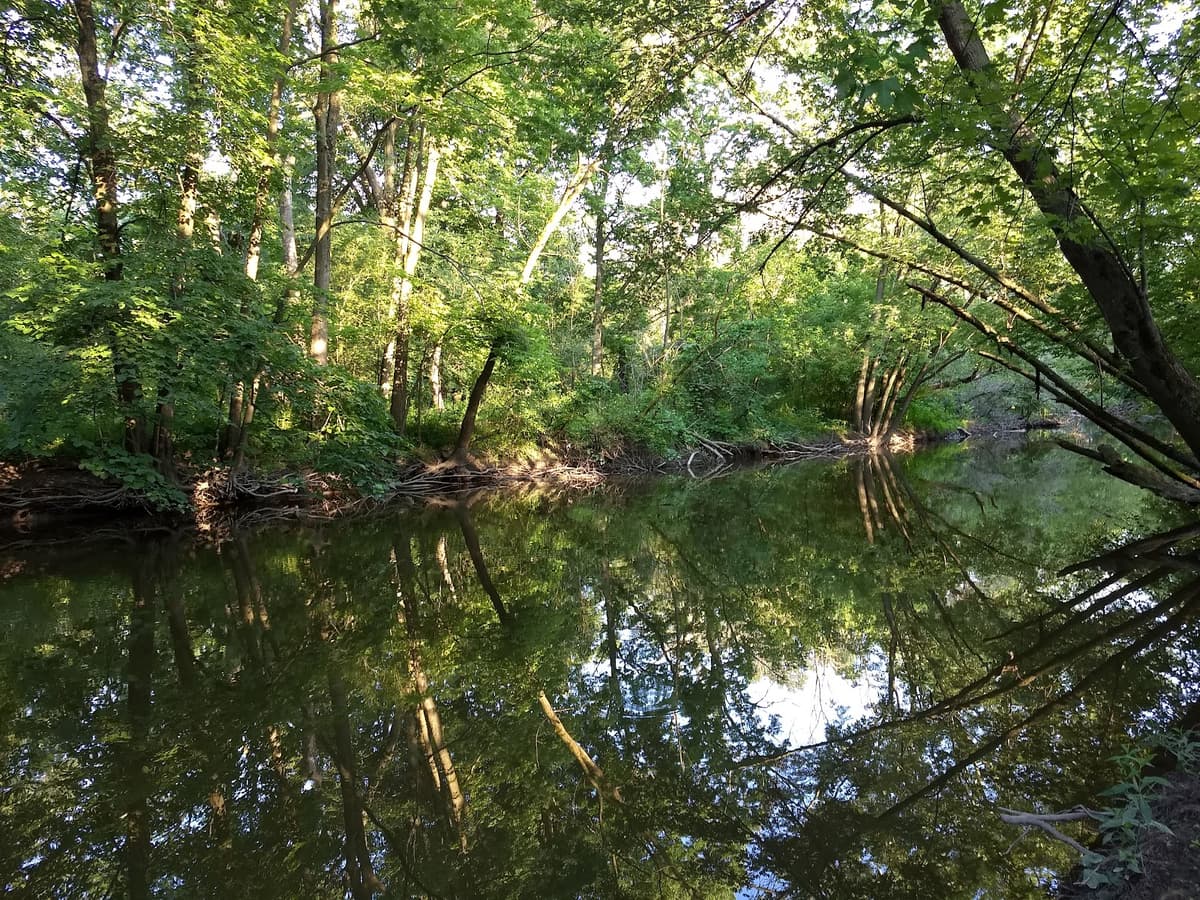 LaBagh Woods — photo 1 of 1