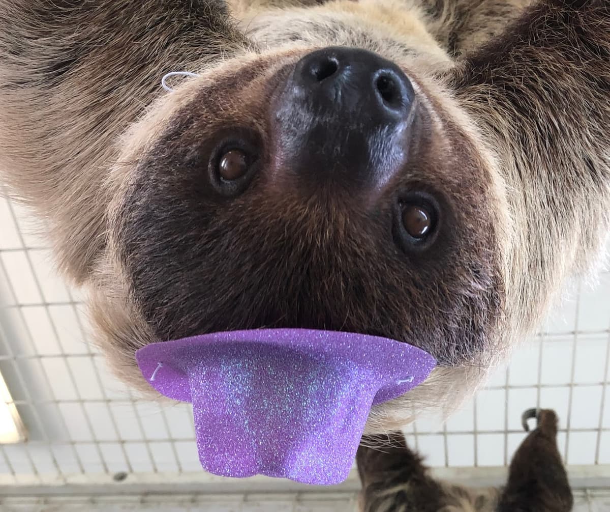 TGR Exotics Wildlife Park