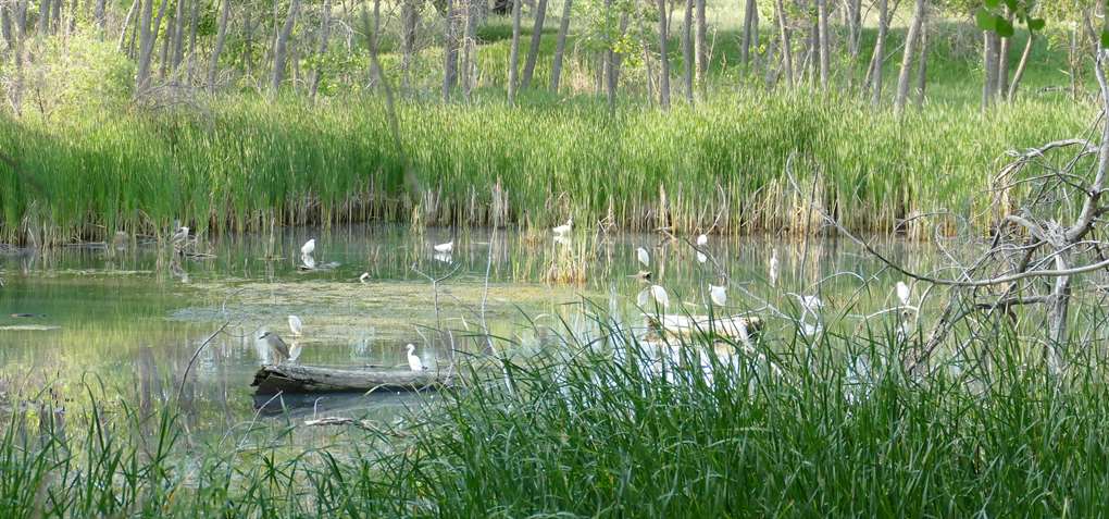 Morrison Nature Center — photo 1 of 1