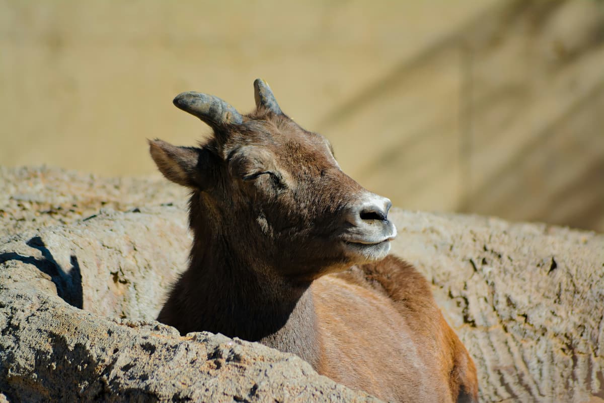 Leon A Wurl Wildlife Sanctuary — photo 1 of 1