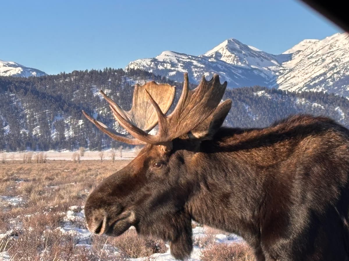 Jackson Hole EcoTour Adventures