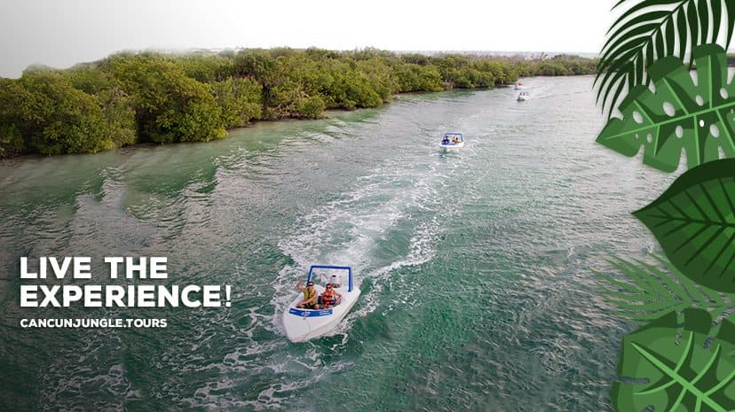 Jungle Tour Cancun — photo 1 of 1