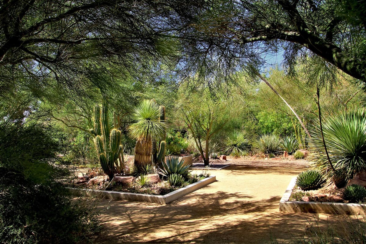 Botanical Garden at the Springs Preserve