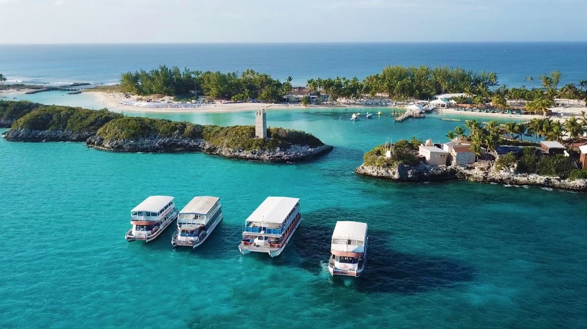 Blue Lagoon Island Dolphin Encounters