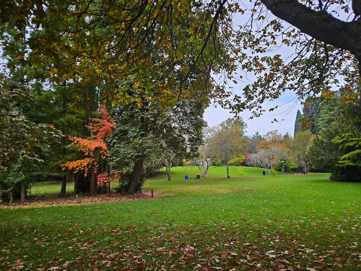 Carl S. English Jr. Botanical Garden — photo 1 of 1