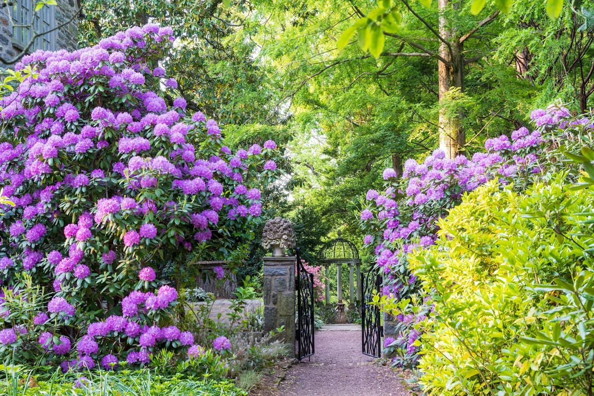 PHS Meadowbrook Farm — photo 1 of 1