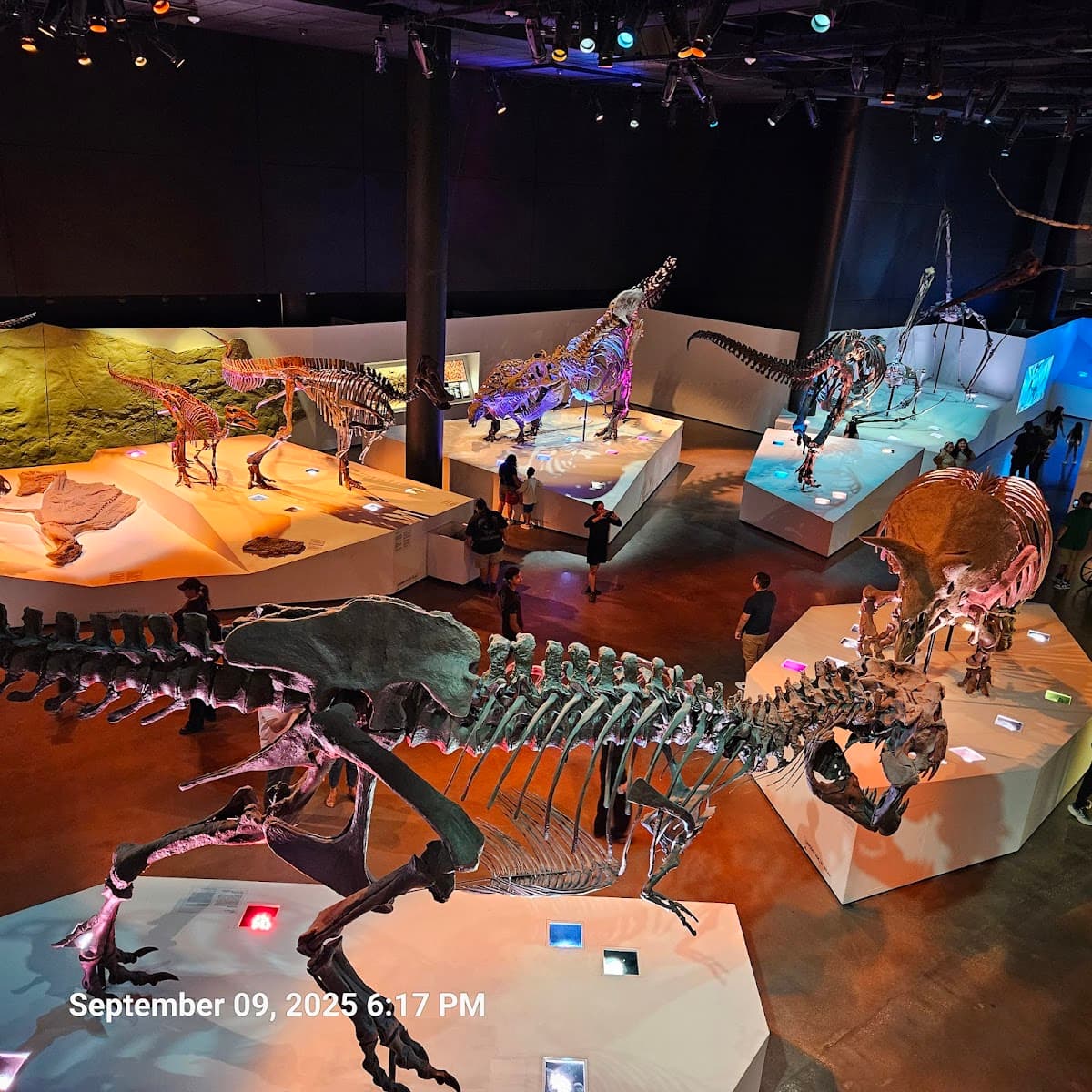 Houston Museum of Natural Science — photo 1 of 1