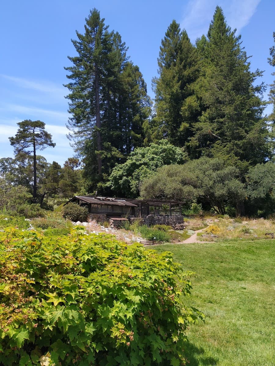 Regional Parks Botanic Garden — photo 1 of 1