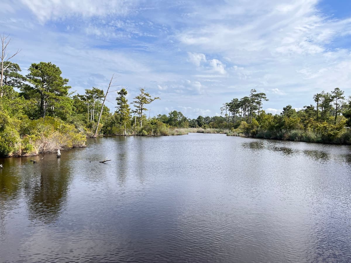 Sandy Run Park — photo 1 of 1