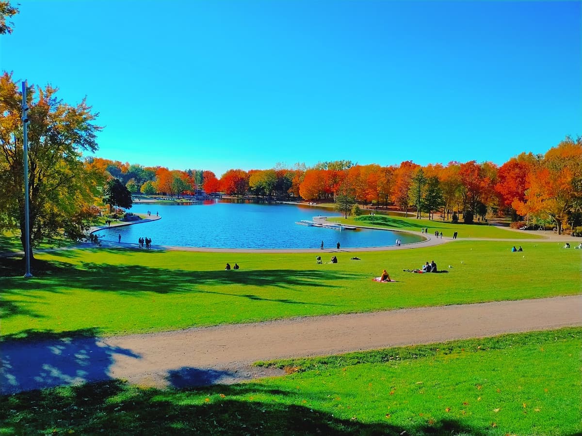Mont Royal Park (Beaver Lake & Playground) — photo 1 of 1